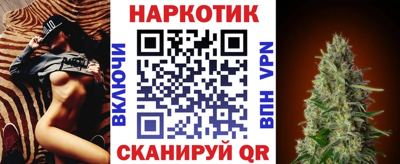 Купить закладку Гашиш  Каннабис  Кокаин  Псилоцибиновые грибы  Меф  Новоузенск