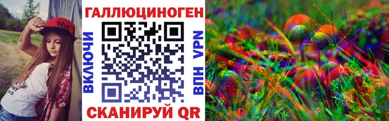 Галлюциногенные грибы Psilocybe  Купить закладки  Новоузенск 